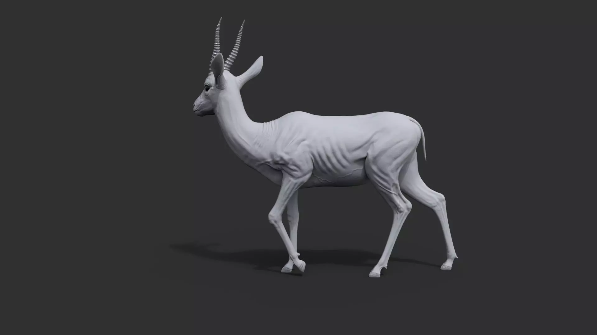 Gazelle Xgen 3D model_20