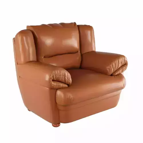 Brown Leather Chair