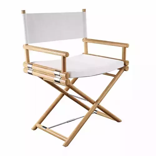 Director chair