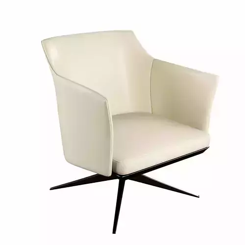 Leather Office Chair