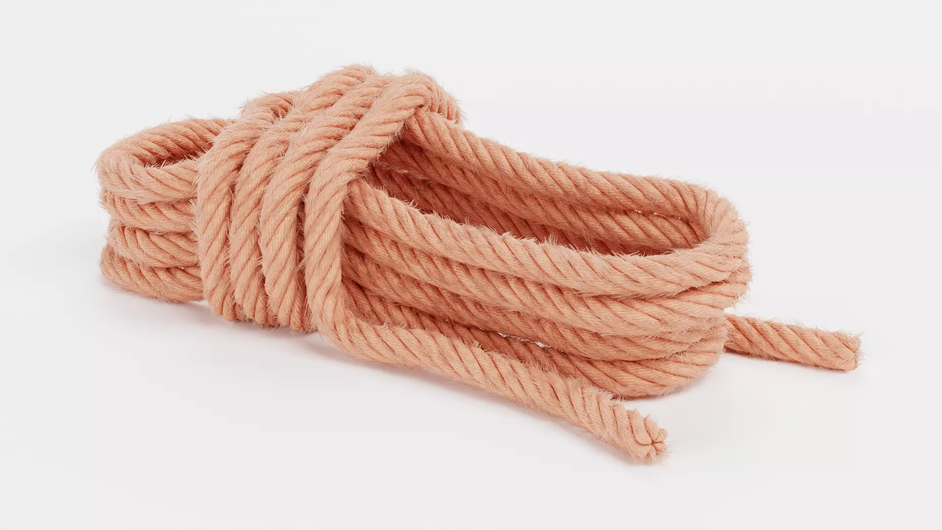 -Ropes- 3D model_13