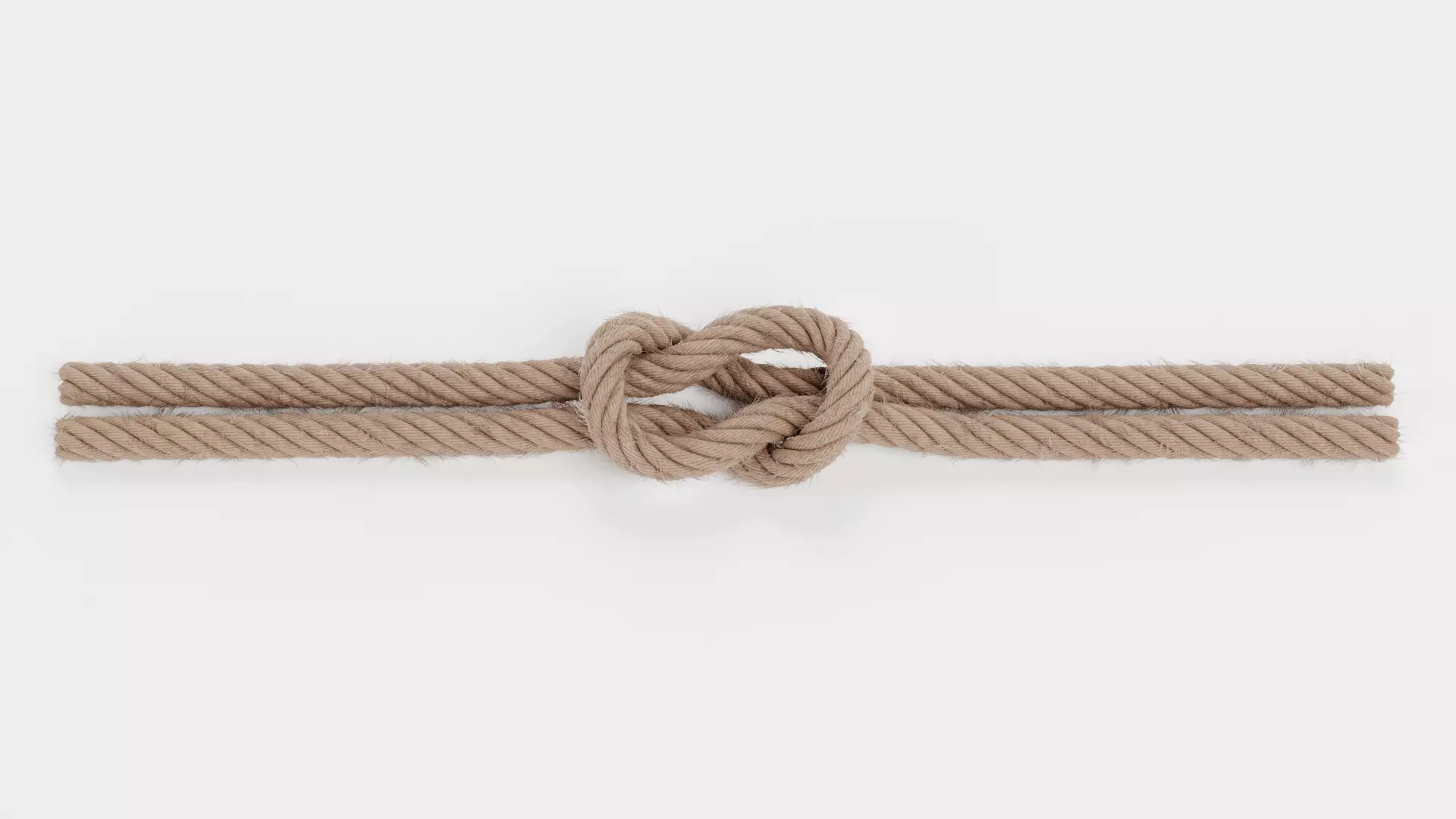 -Ropes- 3D model_14