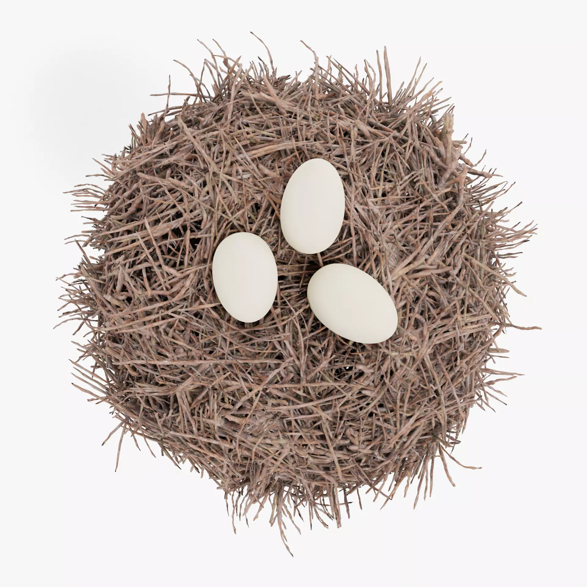-Stork Nest with Eggs- 3D model_13