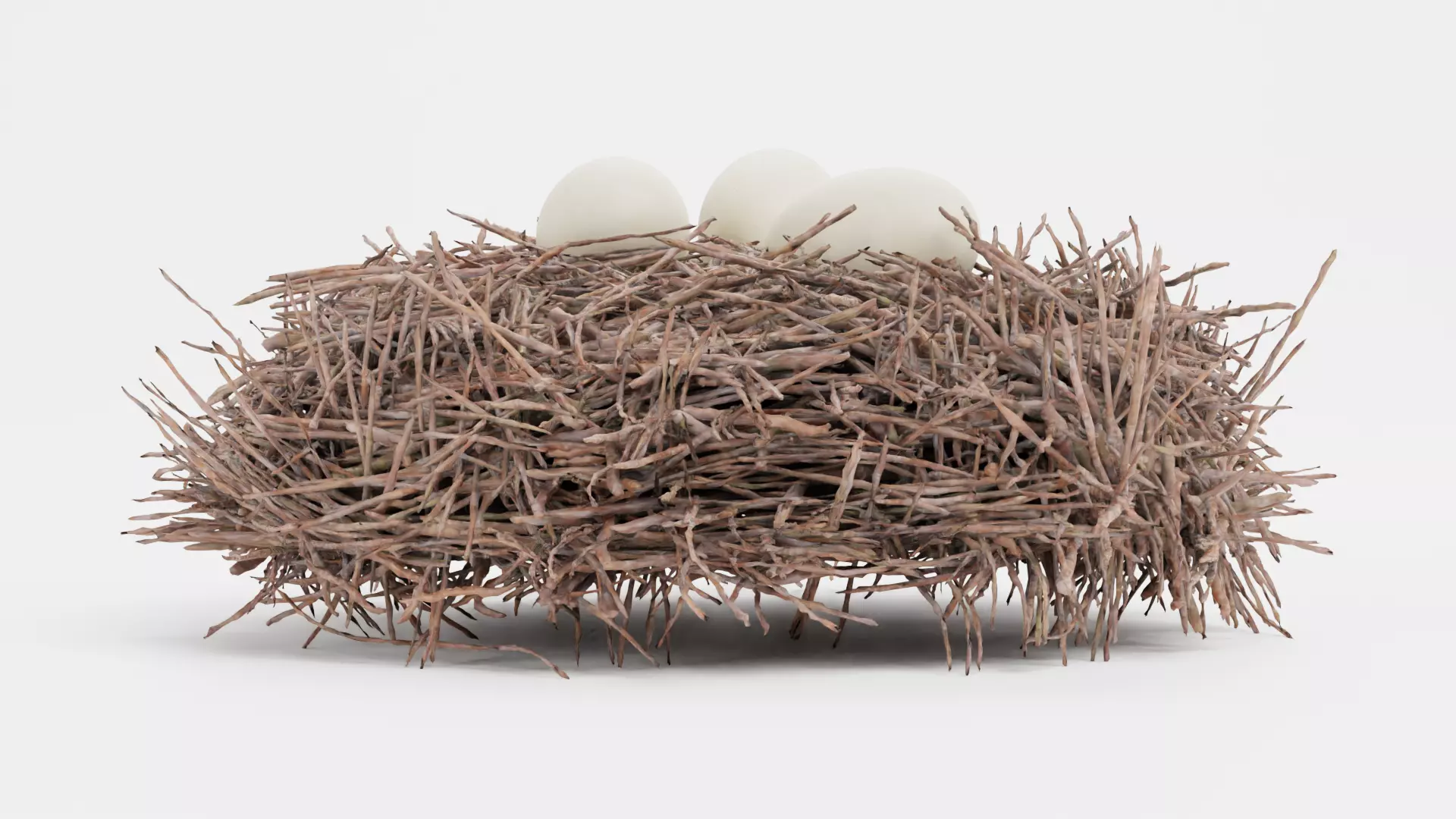 -Stork Nest with Eggs- 3D model_2