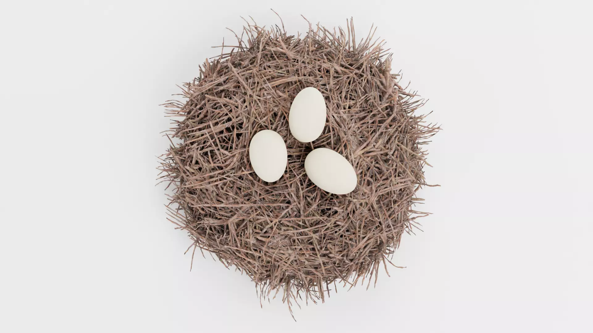 -Stork Nest with Eggs- 3D model_0