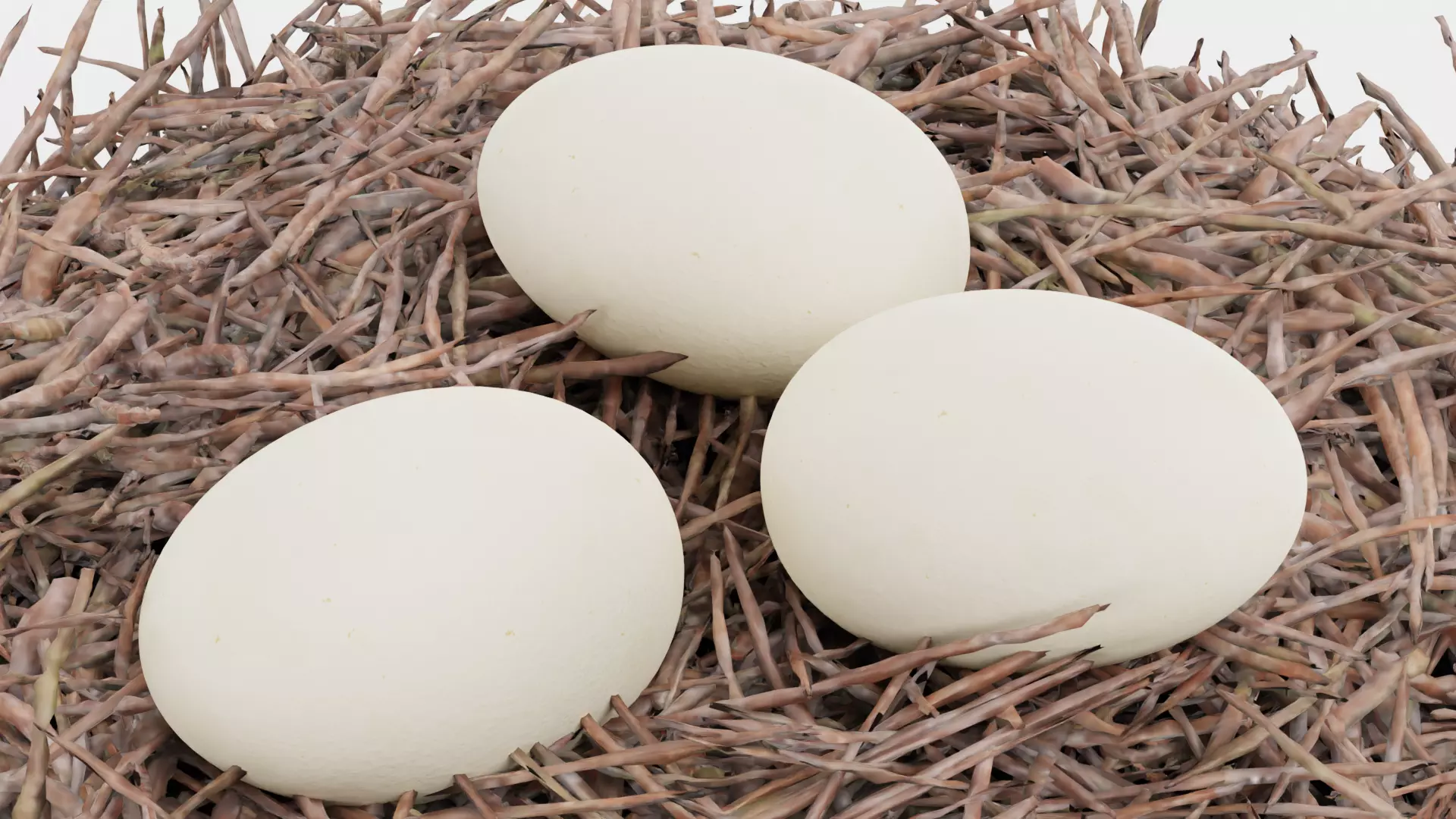 -Stork Nest with Eggs- 3D model_5