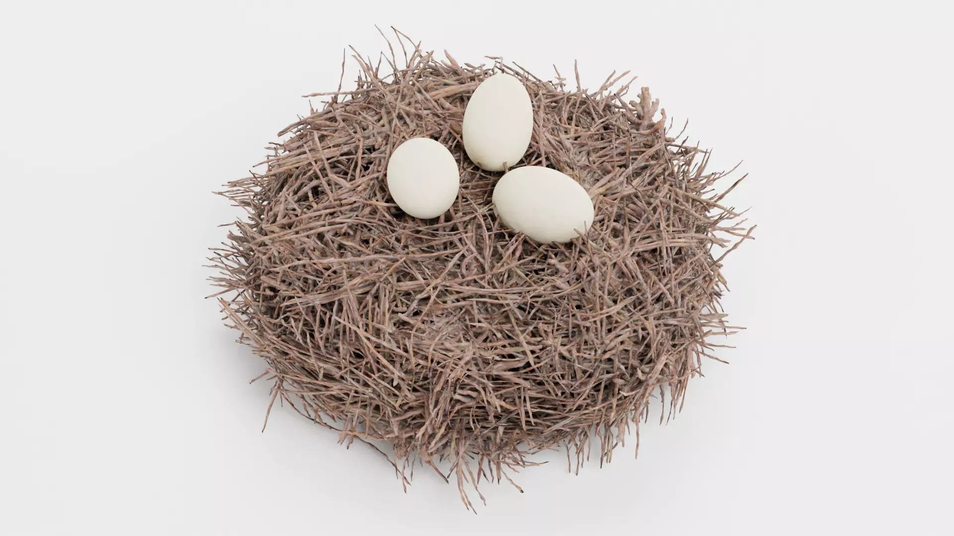 -Stork Nest with Eggs- 3D model_4
