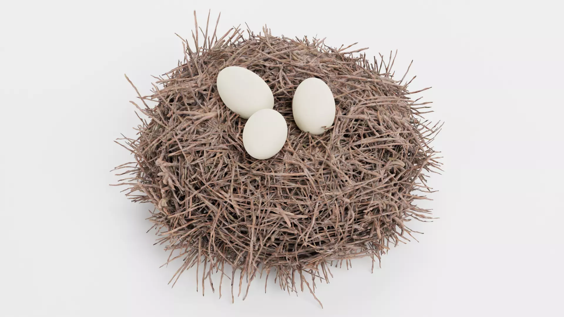 -Stork Nest with Eggs- 3D model_1
