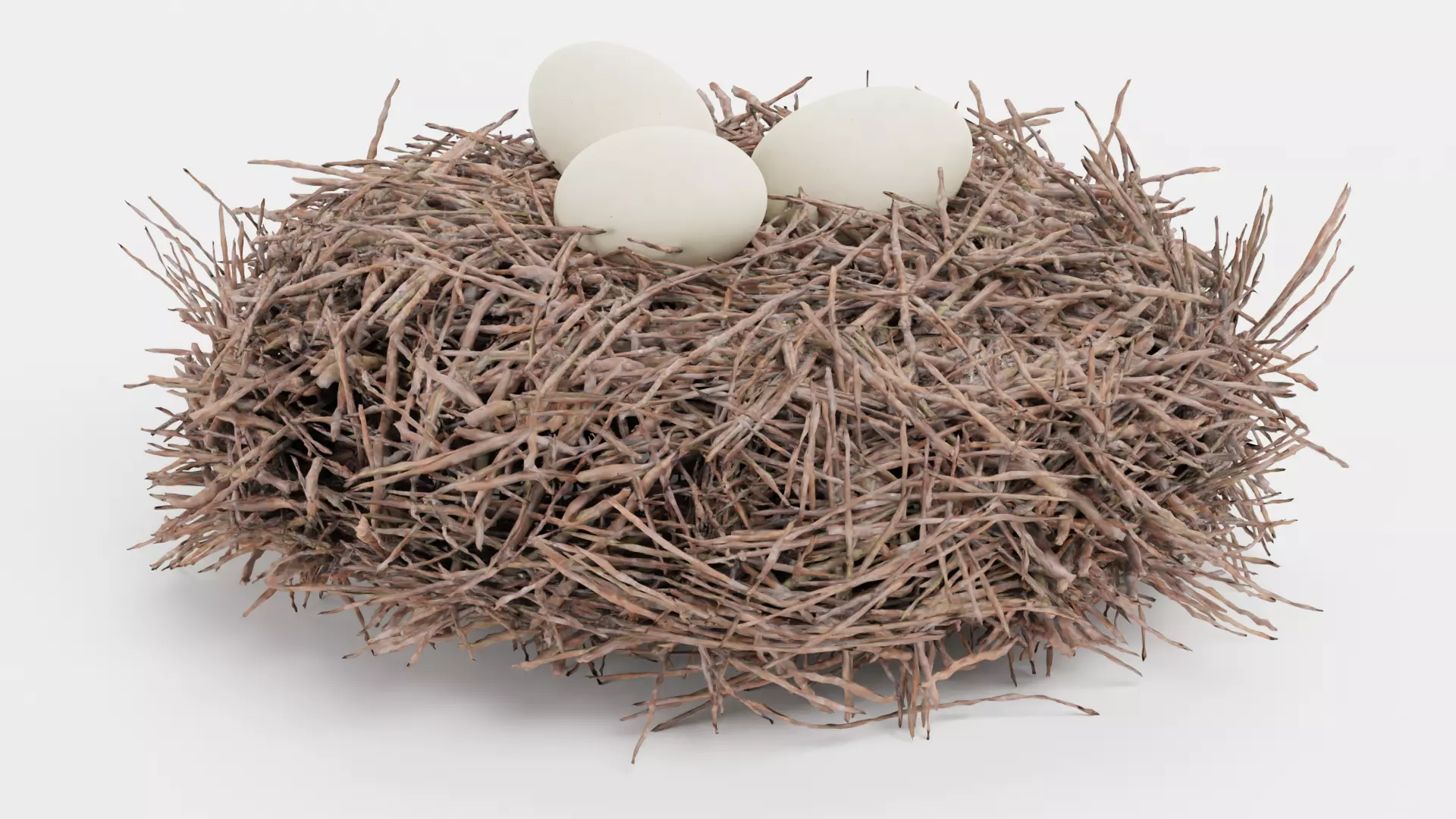 -Stork Nest with Eggs- 3D model_6