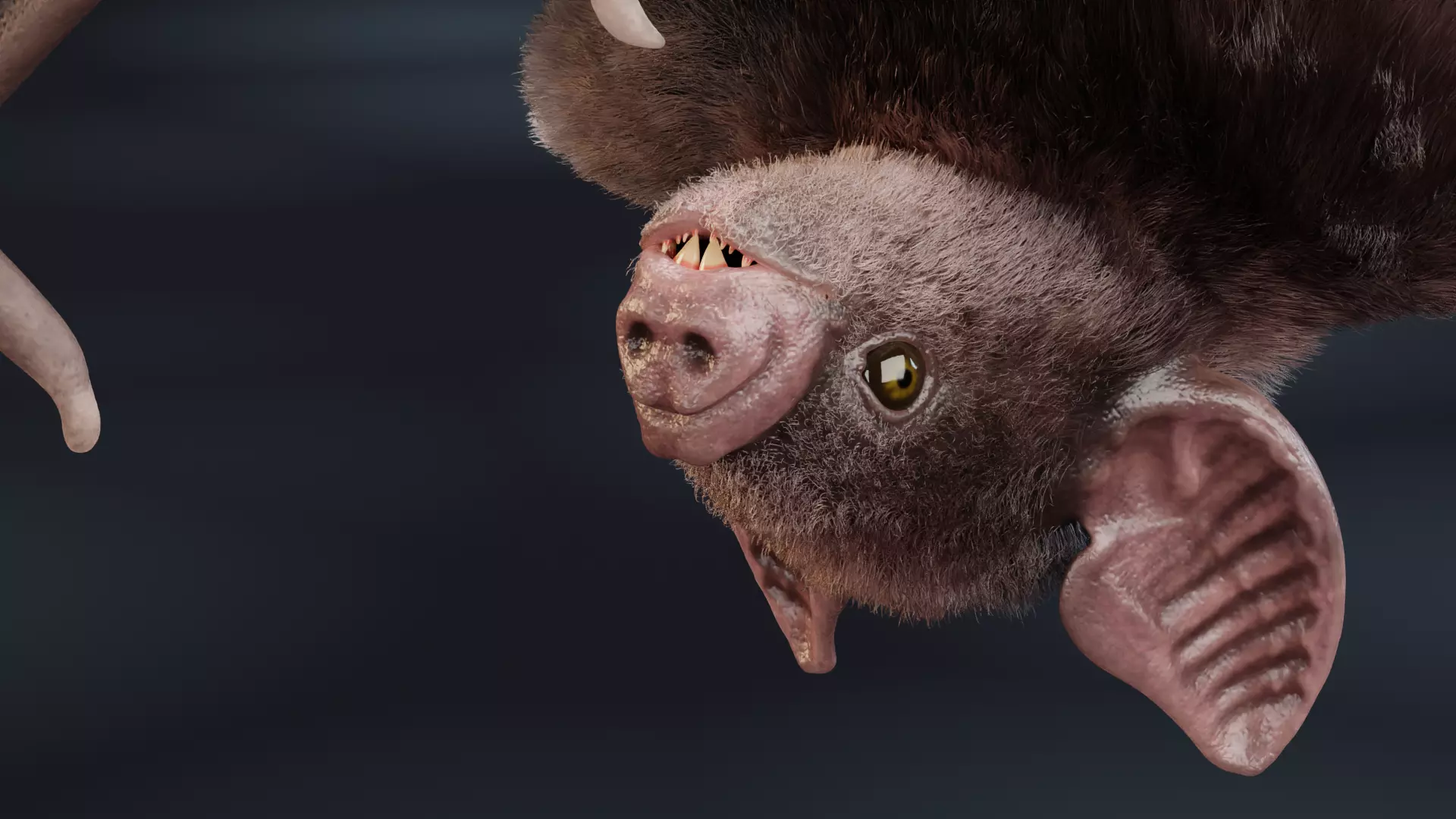 -Vampire Bat in Hanging Pose- 3D model_6
