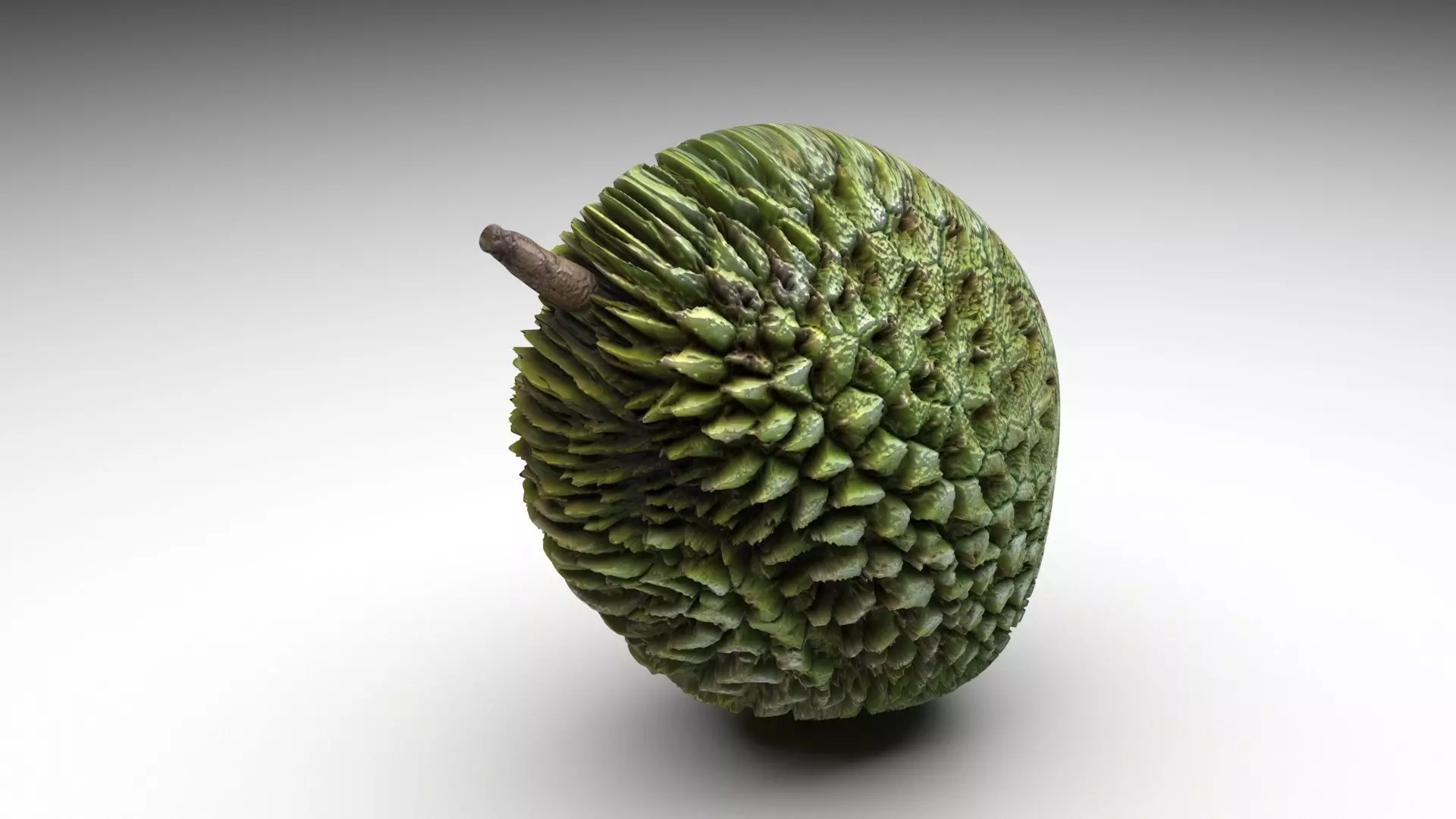 Durian 3D model