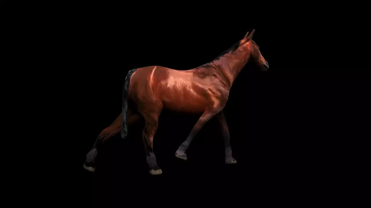 Walking Horse 3D Model Low-poly 3D model_1