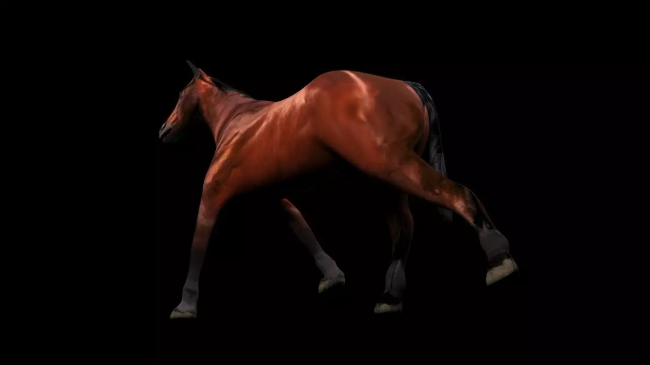 Walking Horse 3D Model Low-poly 3D model_2