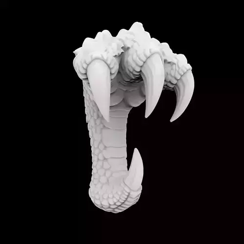 Dragon Claw Wall Hook 3D Print Model