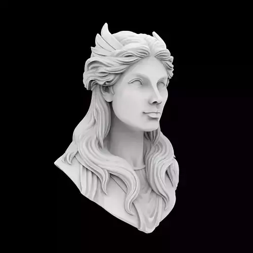 Paladin Bust 3D Print Model