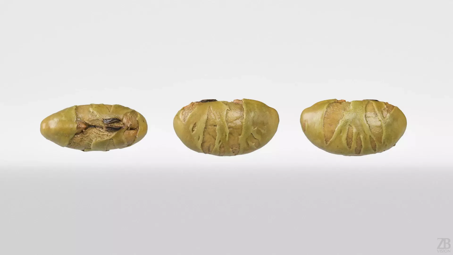 Edamame Bean 3D model_4