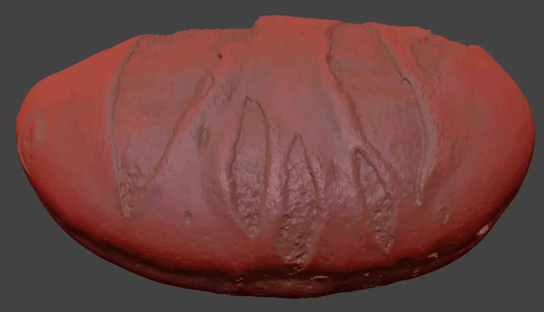 Edamame Bean 3D model_7