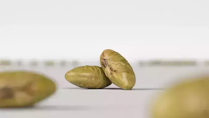 Edamame Bean 3D model 2