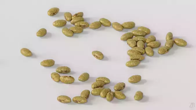 Edamame Bean 3D model 3