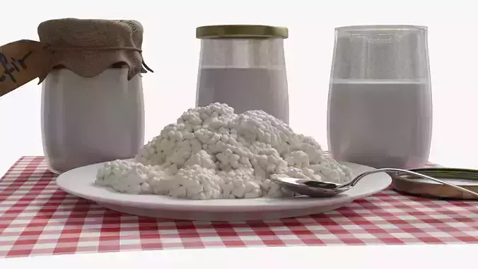 Kefir 3D model 2