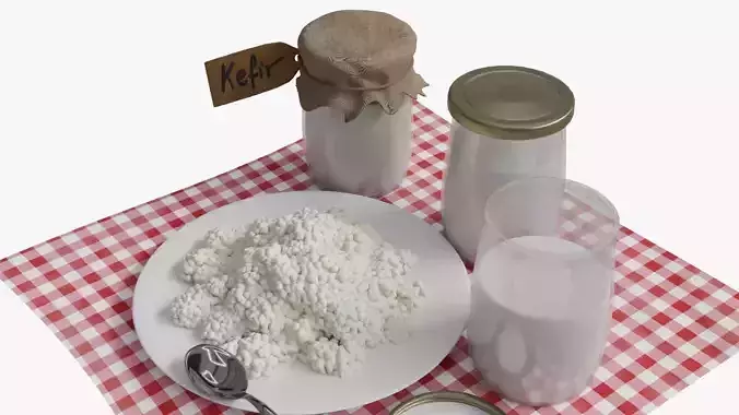 Kefir 3D model 4