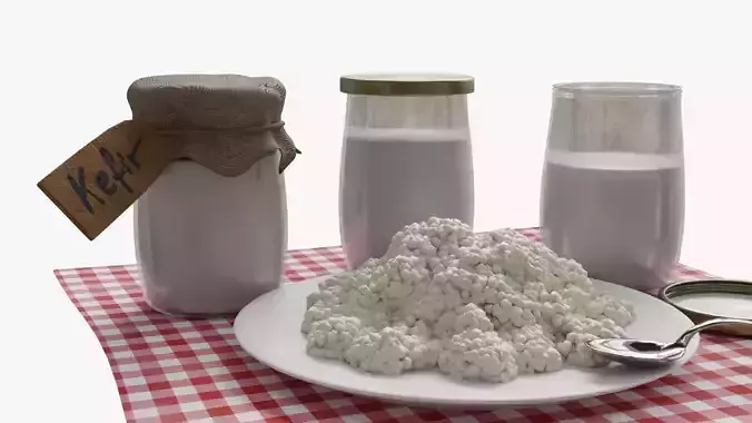 Kefir 3D model 5