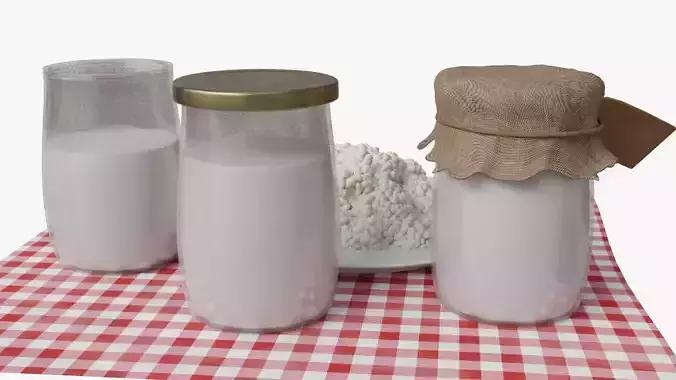 Kefir 3D model 6