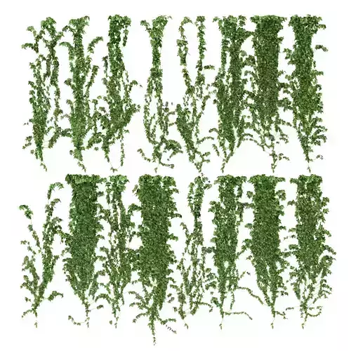 Ivy wall 16 species 3D model