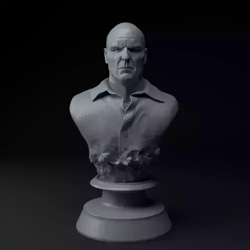 Hank Schrader Breaking Bad Premium 3D Bust STL