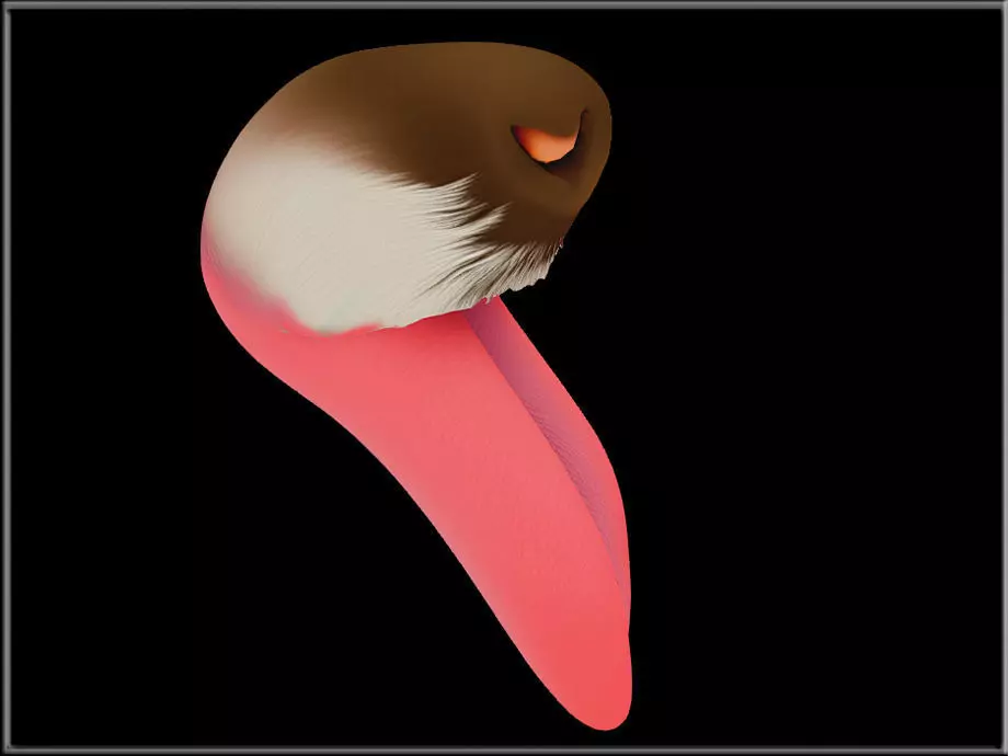 Dog Tongue Low-poly 3D model_3