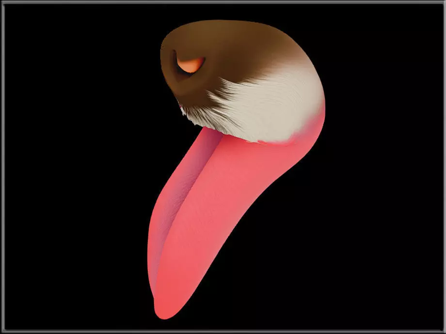 Dog Tongue Low-poly 3D model_1