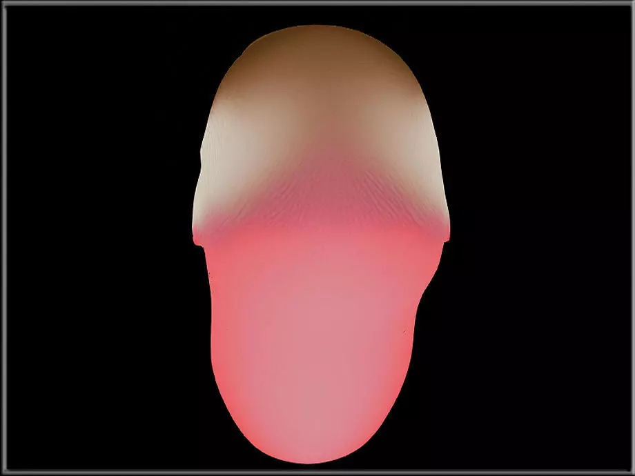 Dog Tongue Low-poly 3D model_2