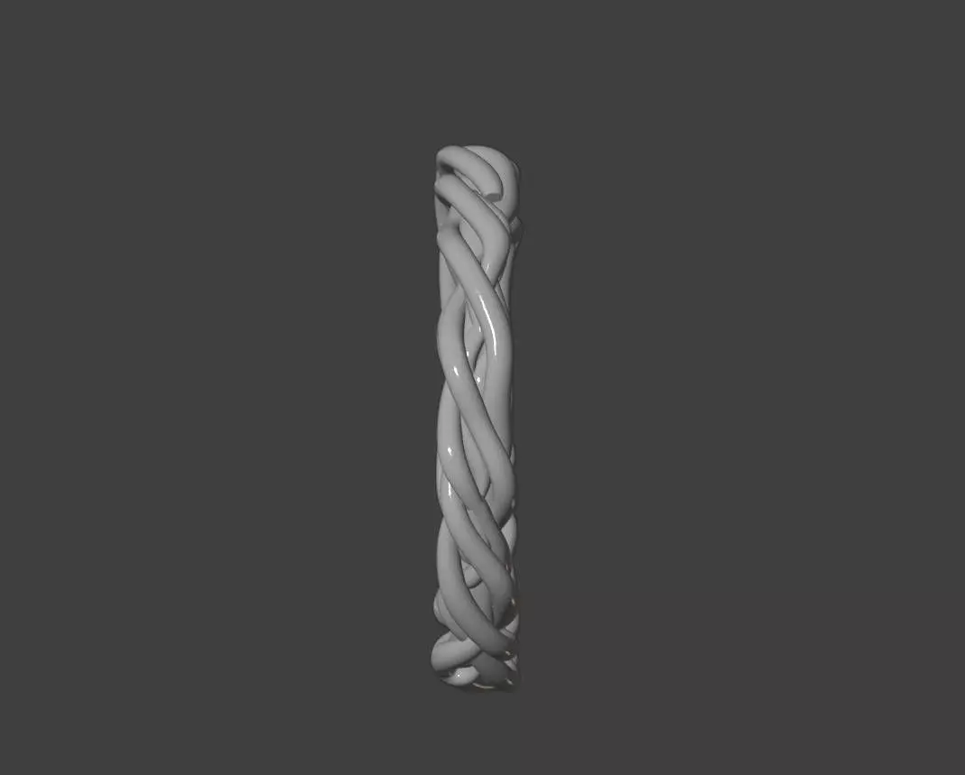 Twisted Braid Gold Ring 3D print model_2