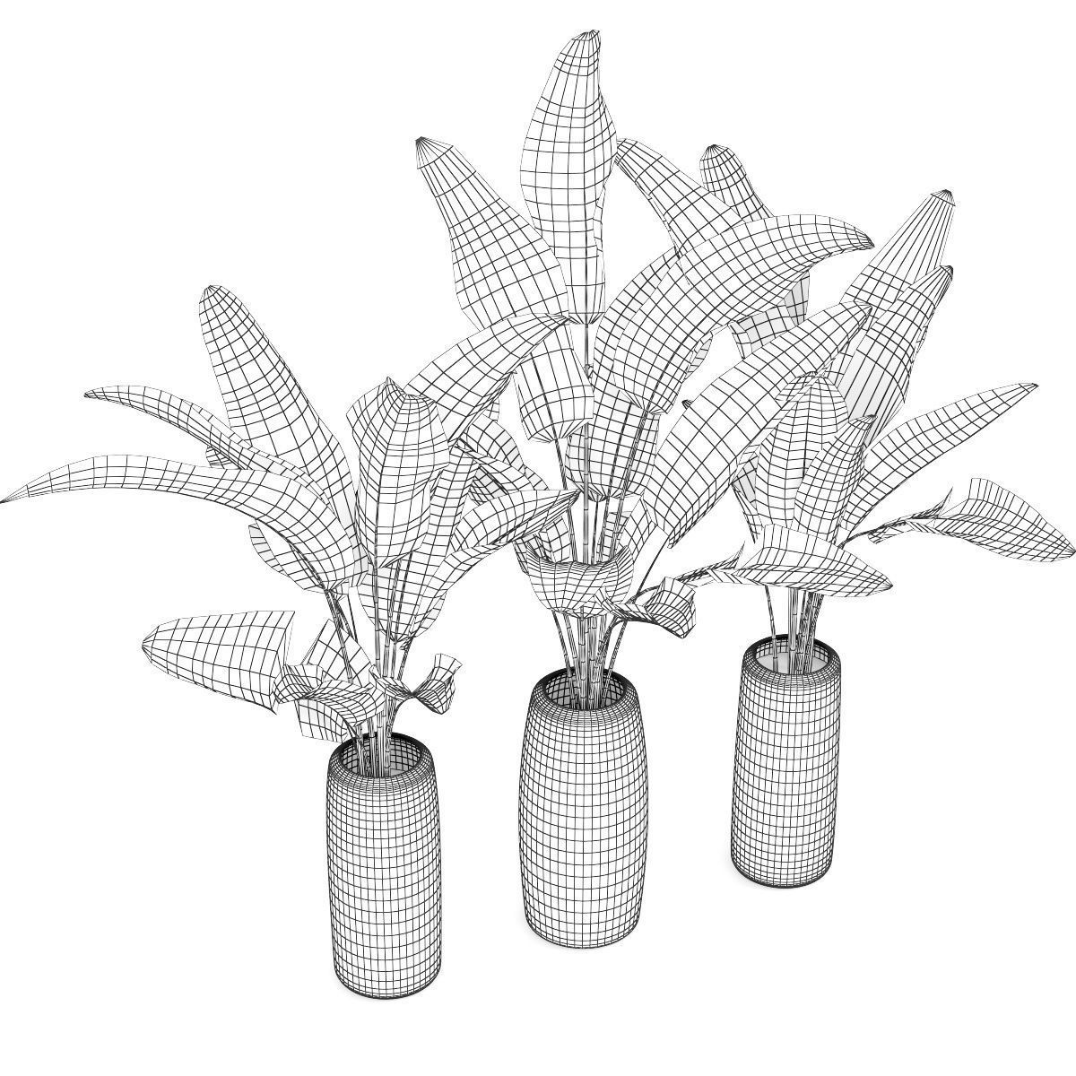 Banana palm 3D model_6