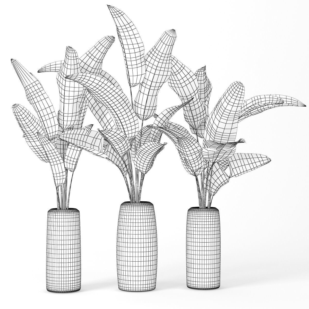 Banana palm 3D model_7