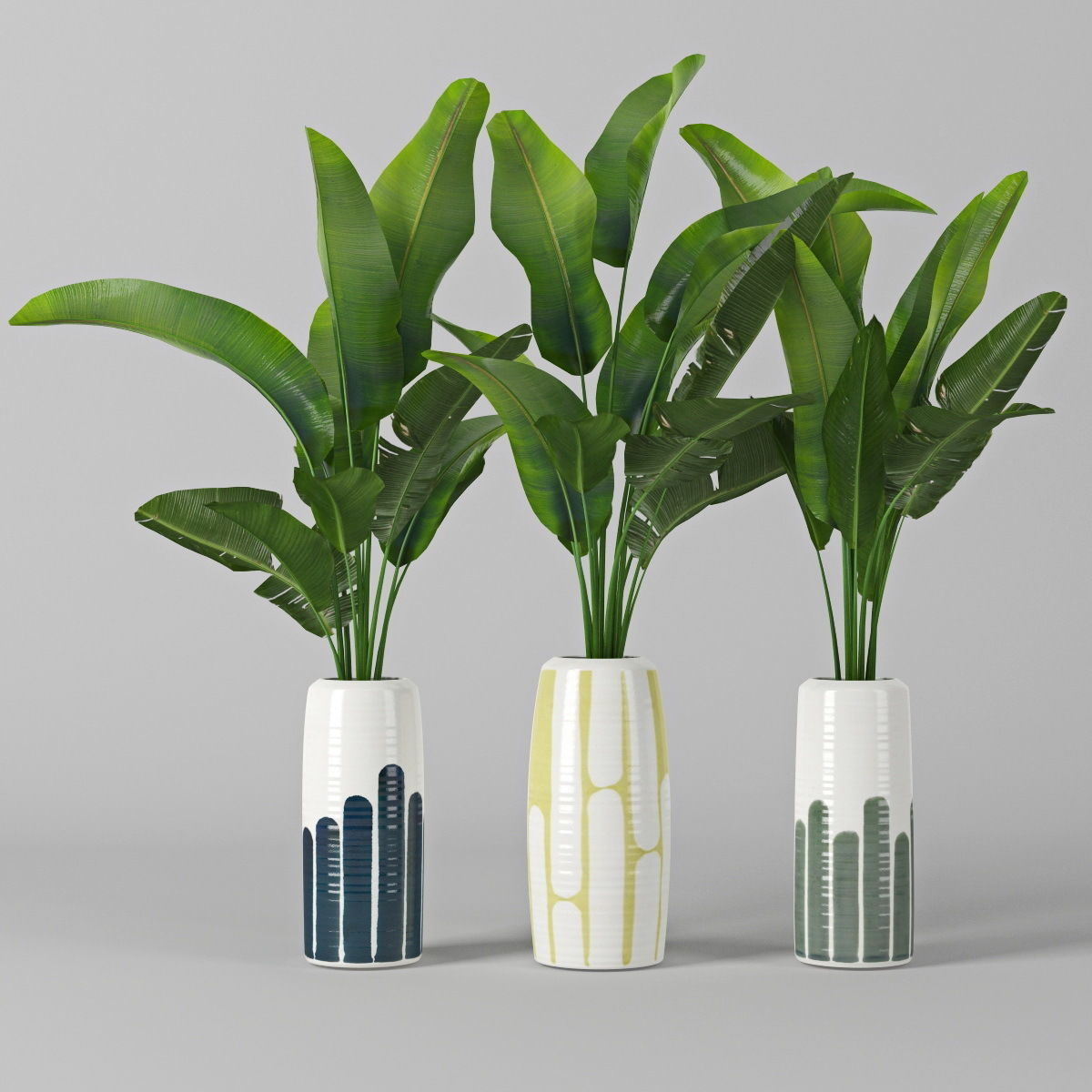 Banana palm 3D model_2