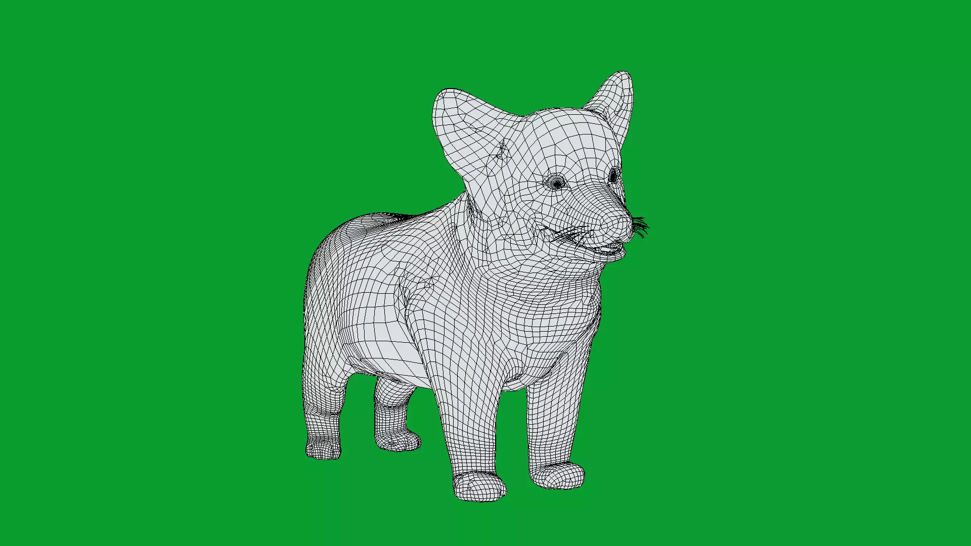 Pembroke Corgi Puppy Dog Low-poly 3D model_23