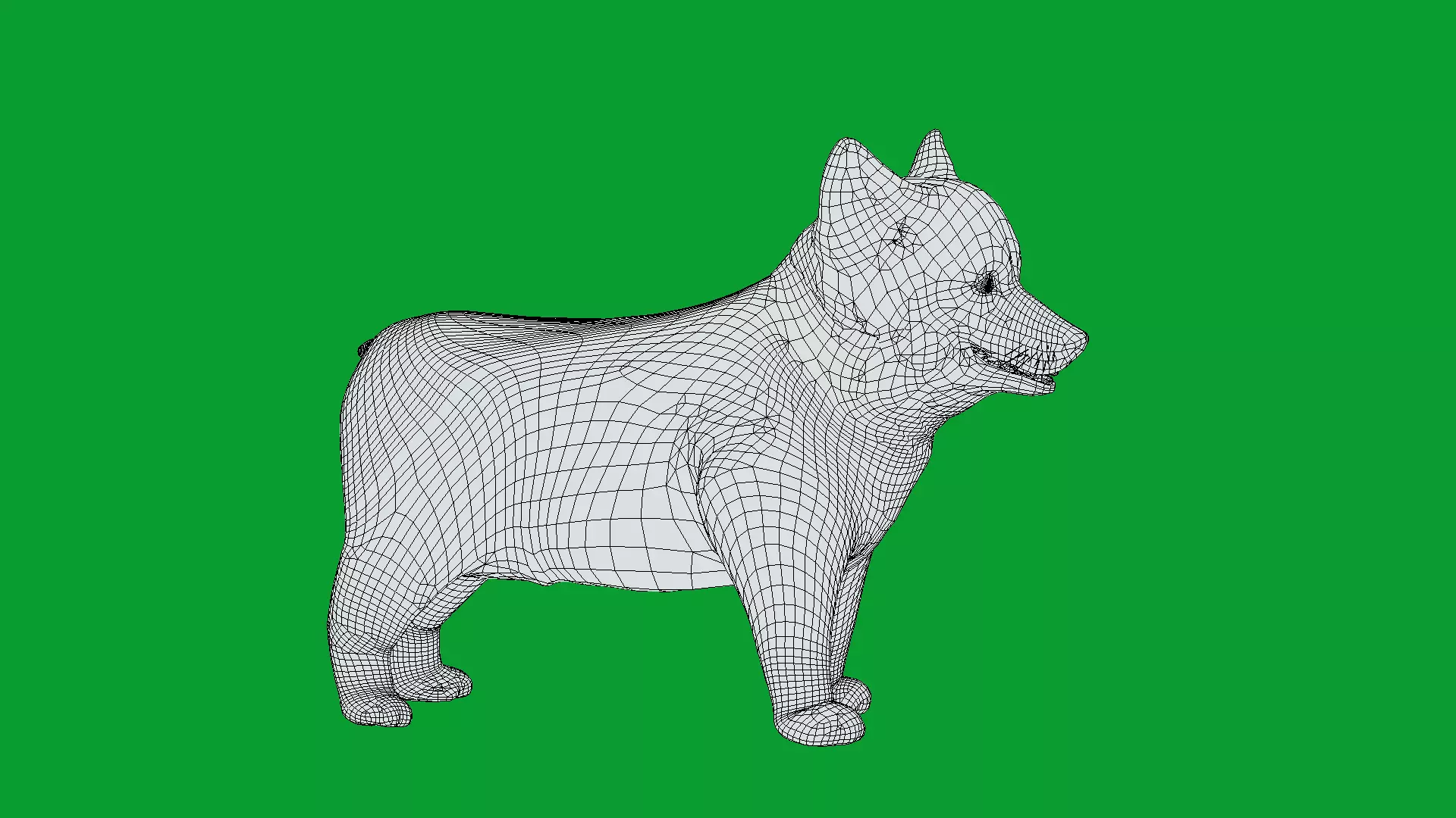 Pembroke Corgi Puppy Dog Low-poly 3D model_18