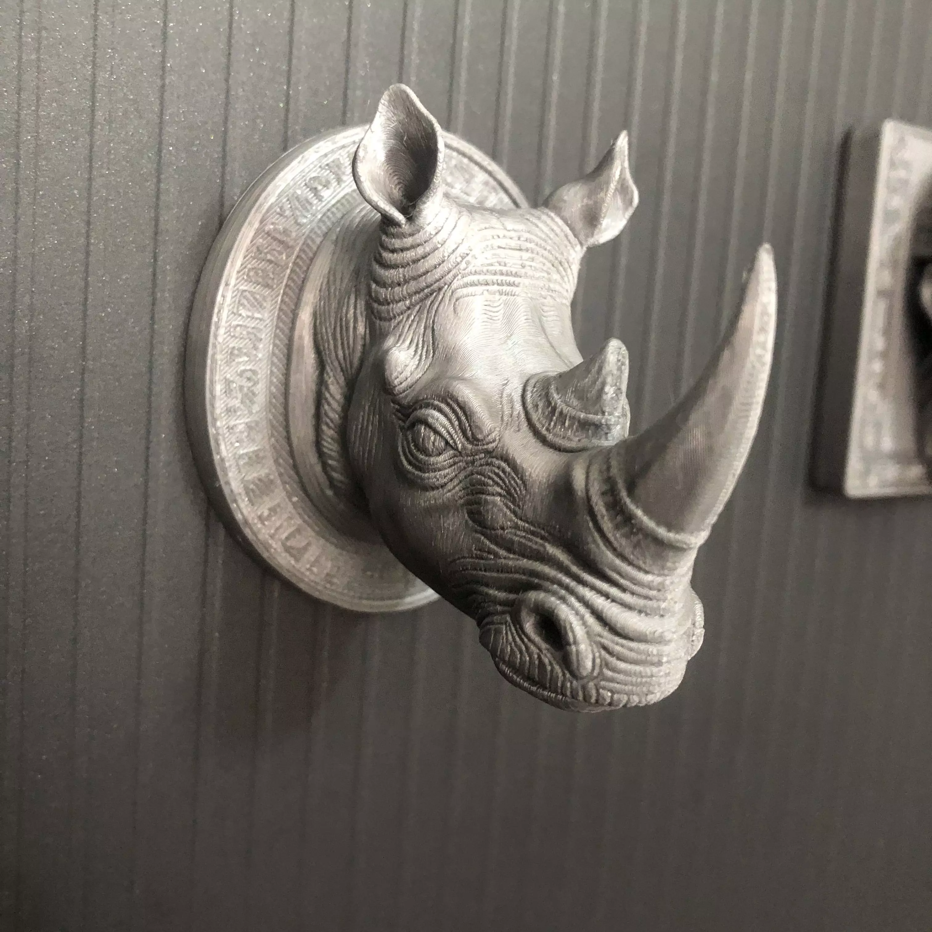 rhinoceros 3D print model_3