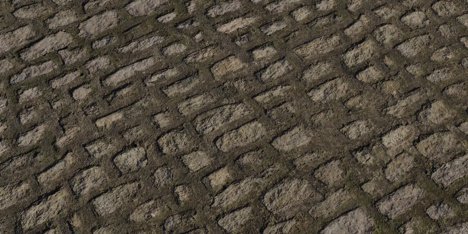 Mossy Cobblestone Path PBR Texture Texture_1