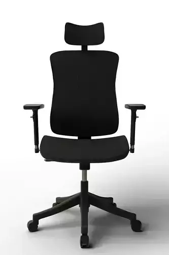 ErgoMesh Pro Office Chair