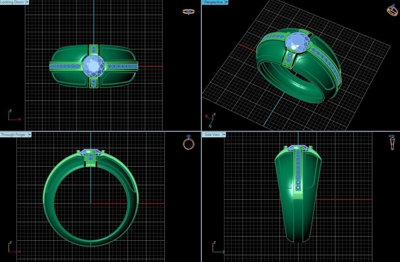 Ring 1a 3D print model_2