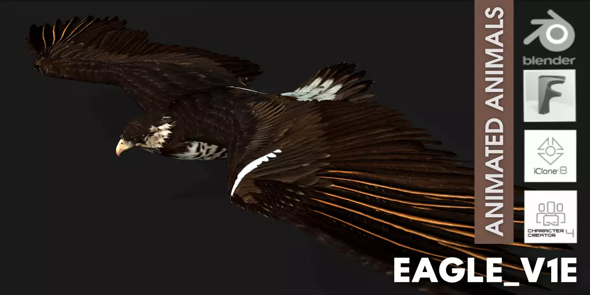 Eagle V1E Free 3D model_0