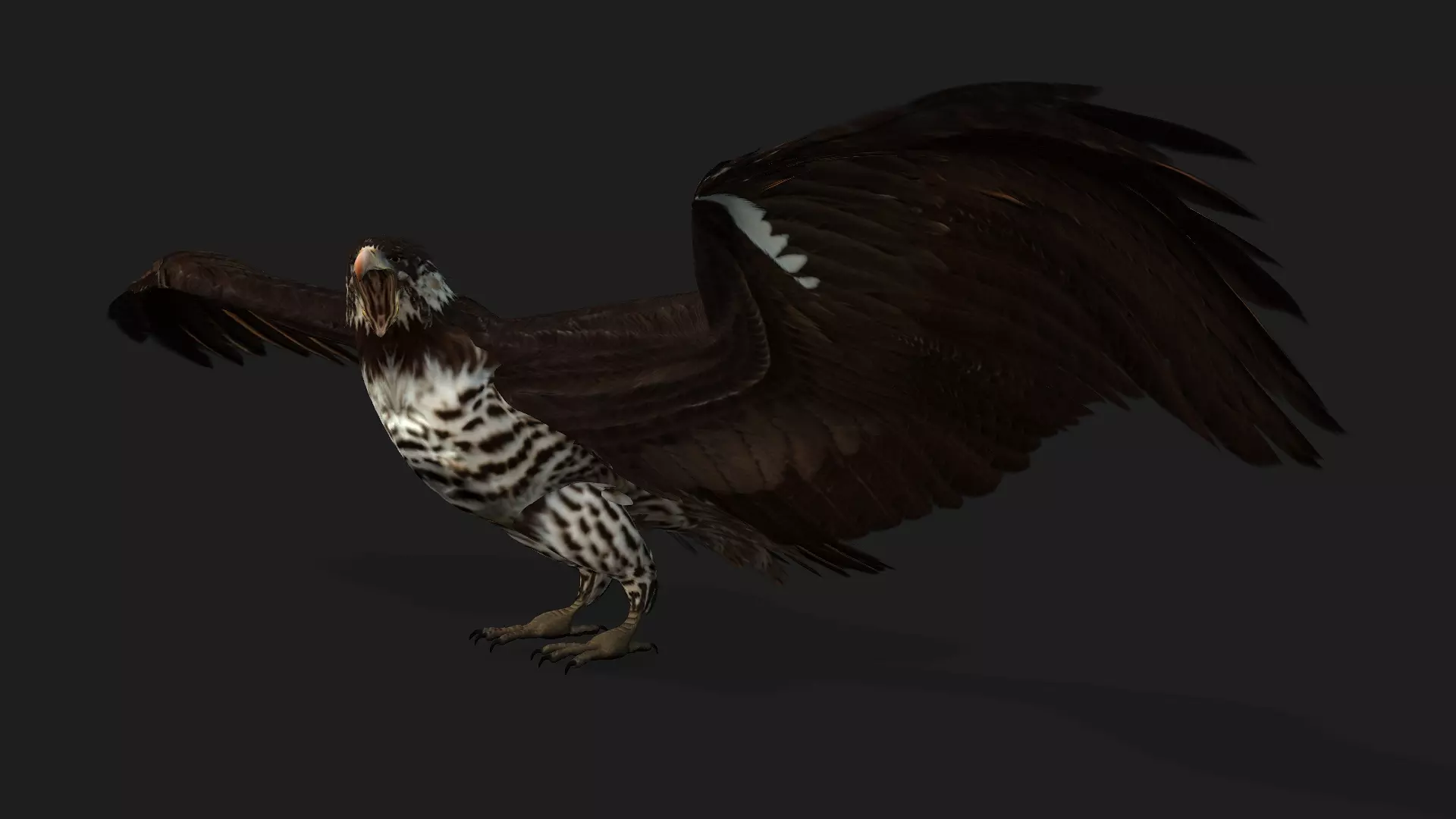 Eagle V1E Free 3D model_3