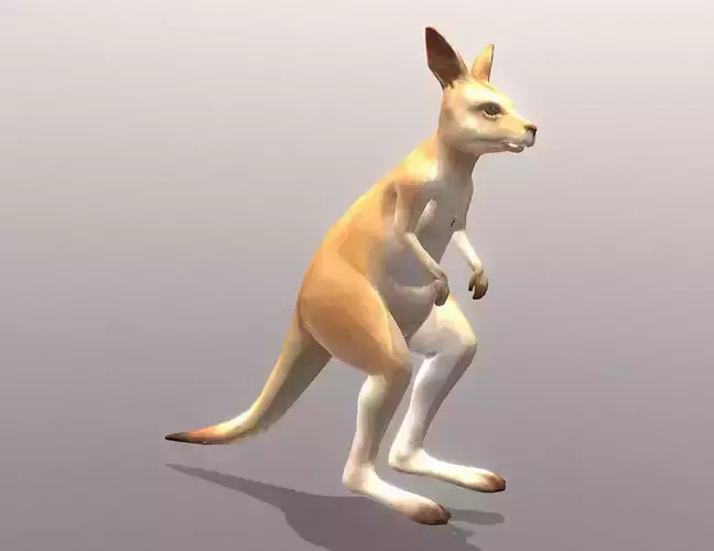 LITTLE KANGGARO IDLE Fbx Pbr animated