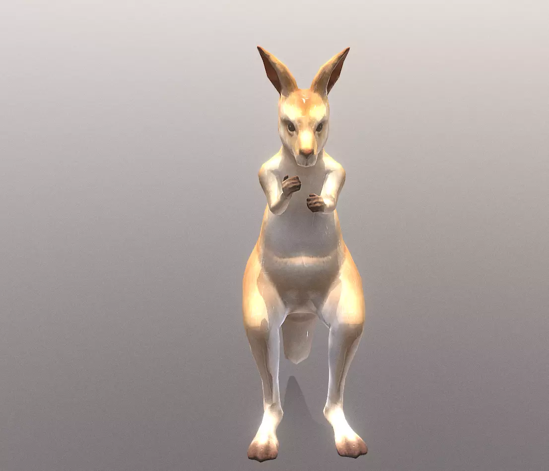 LITTLE KANGGARO JUMP Fbx Pbr Animated 3D model_2