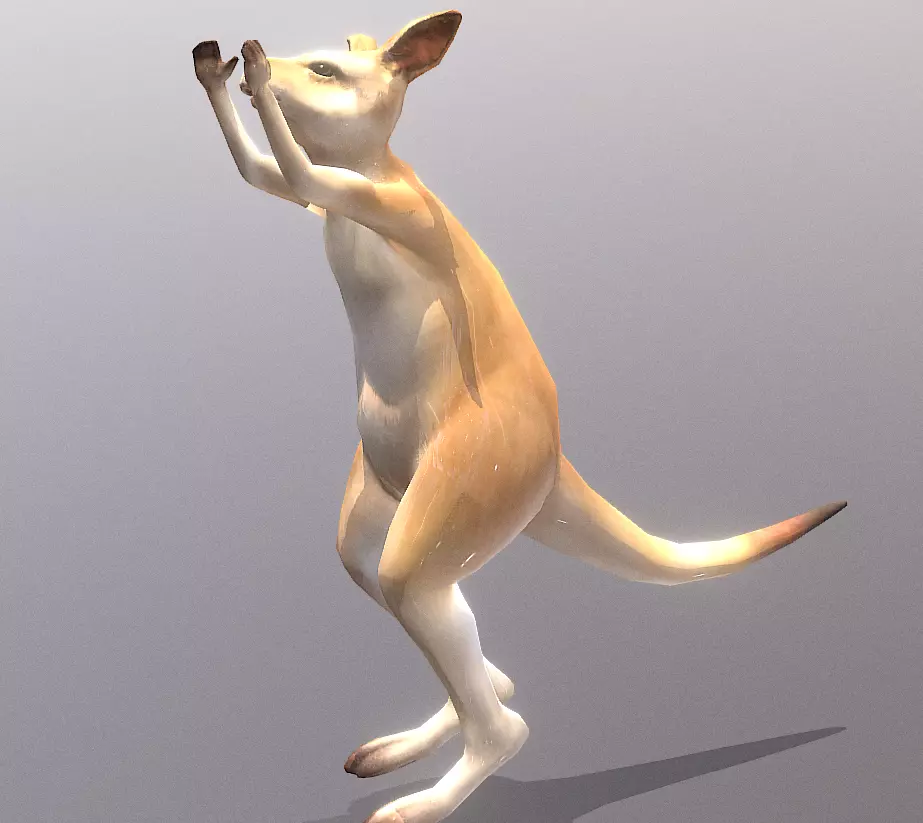 LITTLE KANGGARO JUMP Fbx Pbr Animated 3D model_1