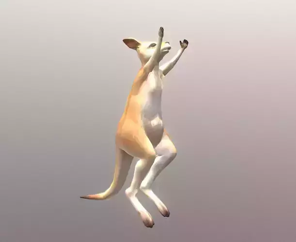 LITTLE KANGGARO JUMP Fbx Pbr  Animated