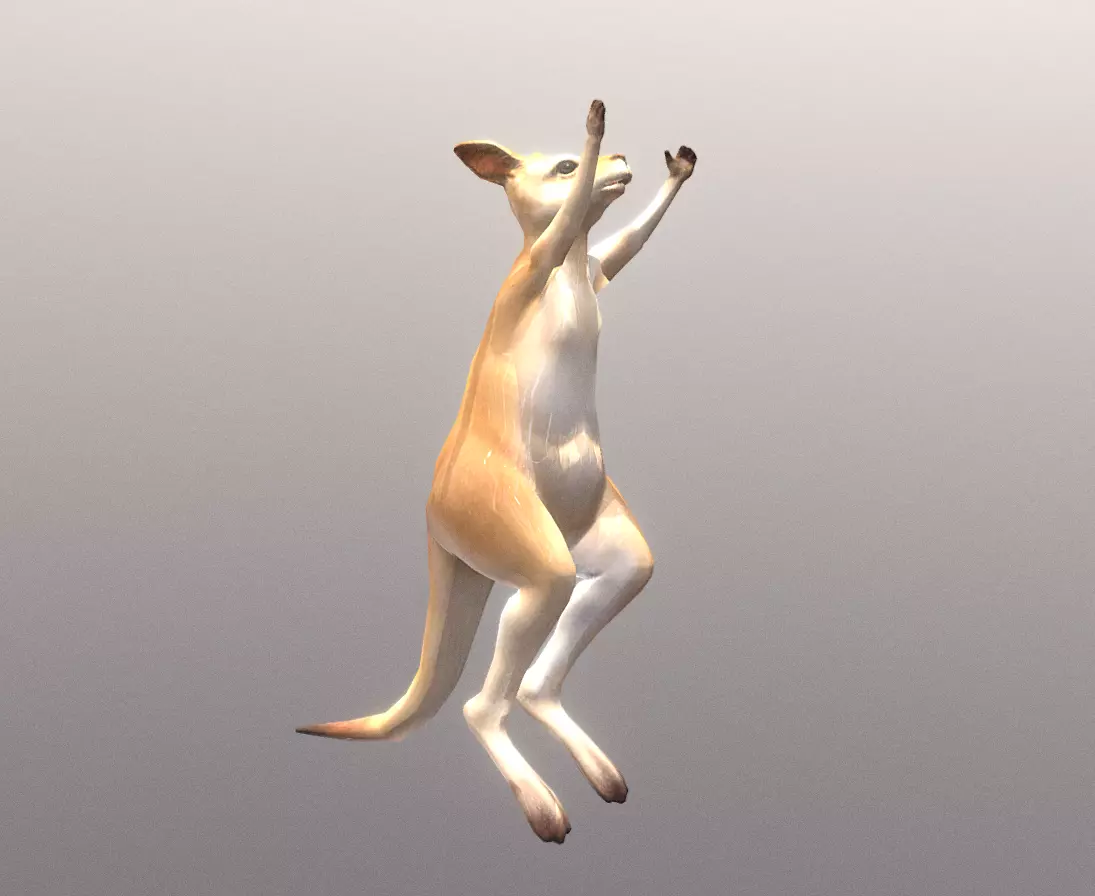 LITTLE KANGGARO JUMP Fbx Pbr Animated 3D model_0