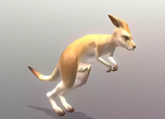 LITTLE KANGAROO RUNNING Fbx Pbr Animated